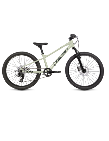 Bicicleta COLUER Zap 242