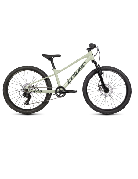 Bicicleta COLUER Zap 242