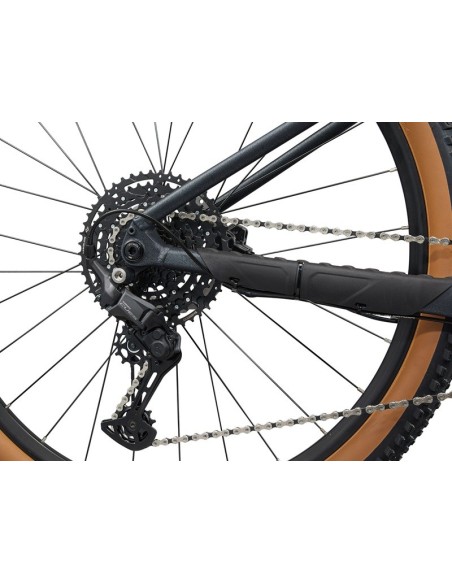 Bicicleta Liv Tempt 1
