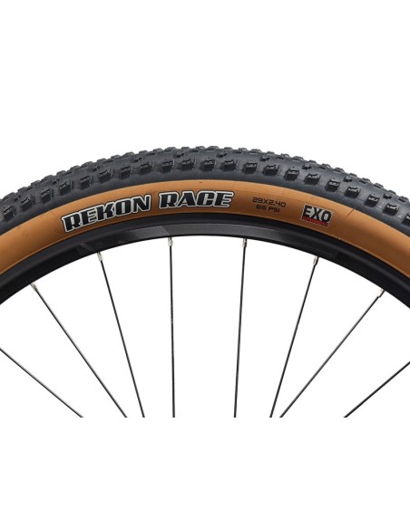 Bicicleta Liv Tempt 1
