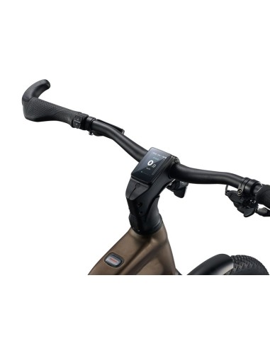 Bicicleta GIANT Explore E+ 3 Stagger