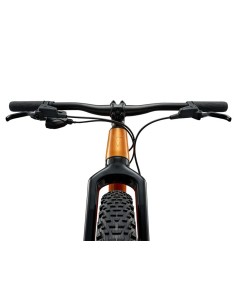 Bicicleta GIANT STP 20 2