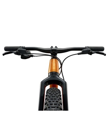Bicicleta GIANT STP 20