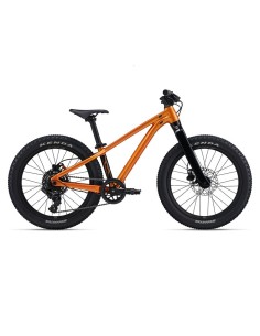 Bicicleta GIANT STP 20