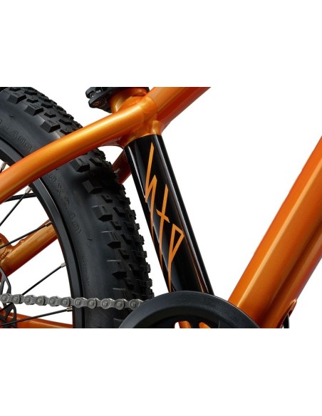 Bicicleta GIANT STP 20
