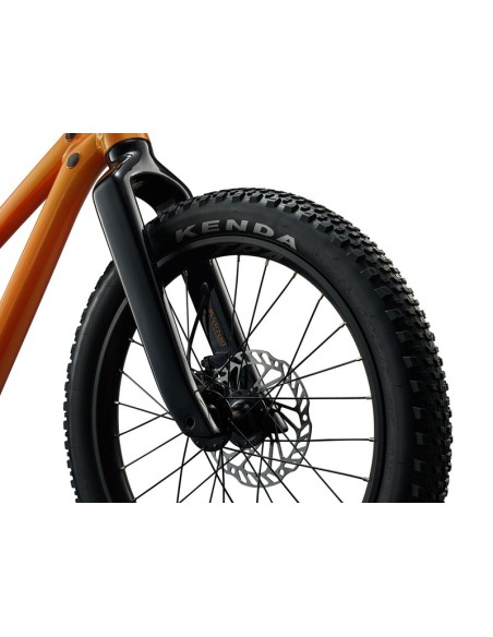 Bicicleta GIANT STP 20