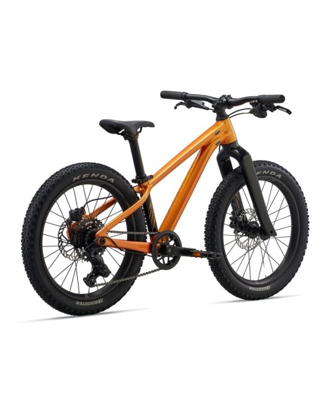 Bicicleta GIANT STP 20