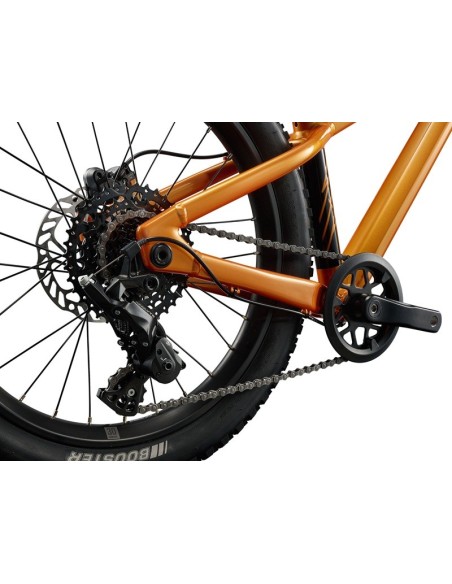 Bicicleta GIANT STP 20