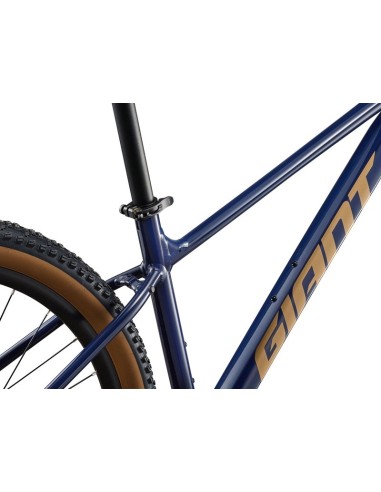 Bicicleta GIANT Talon 2