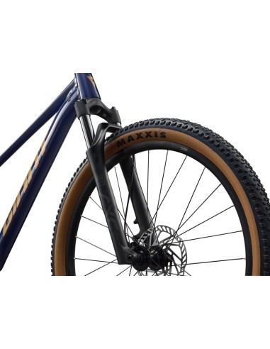 Bicicleta GIANT Talon 2