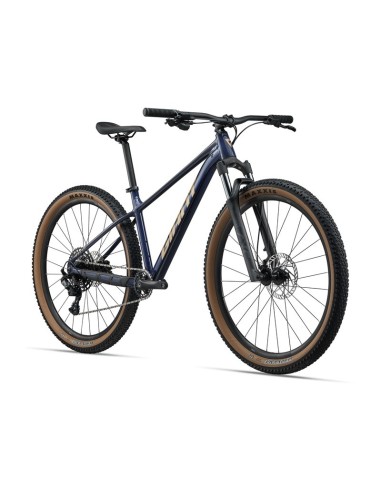 Bicicleta GIANT Talon 2