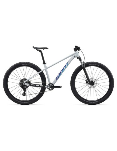 Bicicleta GIANT Talon 2