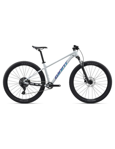 Bicicleta GIANT Talon 2