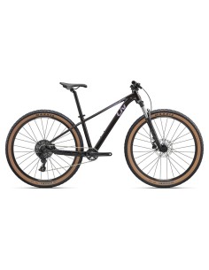 Bicicleta LIV Temp 2