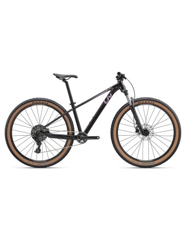 Bicicleta LIV Temp 2