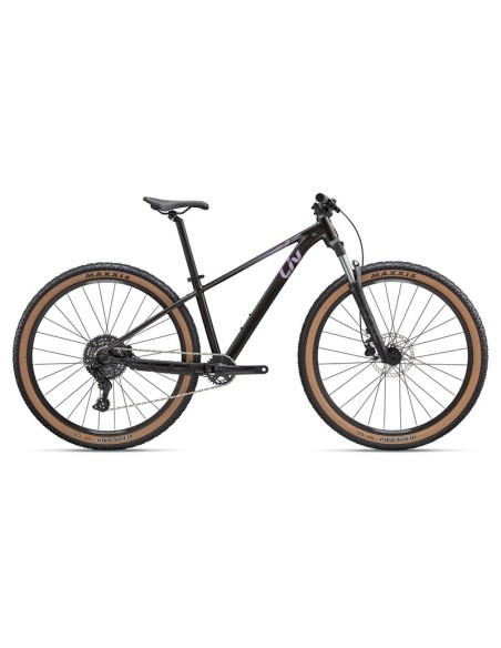 Bicicleta LIV Temp 2