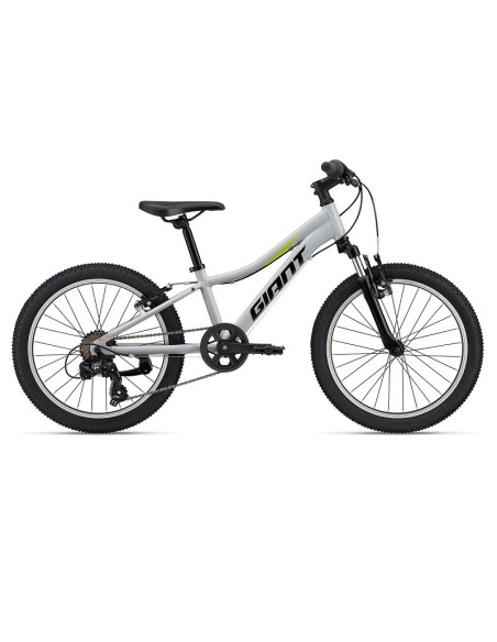 Bicicleta GIANT XTC JR 20
